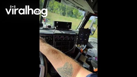 Trucker Drives in the Left Lane || ViralHog