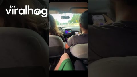 Unlatched Car Hood Flies Up || ViralHog