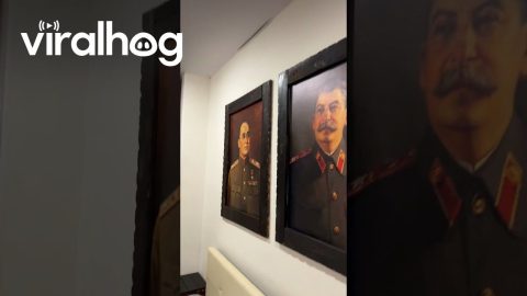 Renters Sleep Under Soviet Leaders || ViralHog