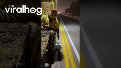 Workers Apply Reflective Road Markers || ViralHog