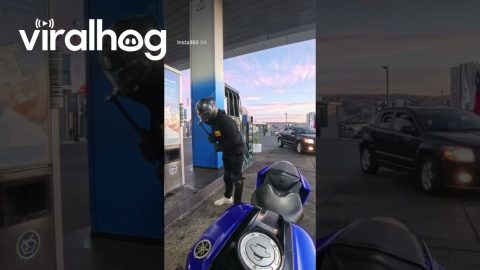 Too Busy Watching to Notice the Door || ViralHog