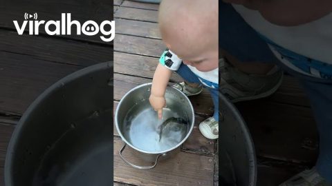 Giggling At Newly Caught Fish || ViralHog