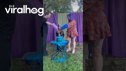 When Your Little Witch Wanted a Sister || ViralHog