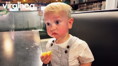Babies Try New Foods for the First Time 🍋😂 ViralHog