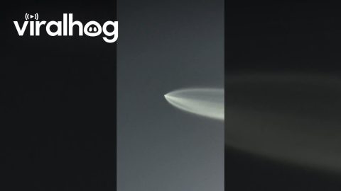 Watching SpaceX Falcon9 Launch From Huntington Beach || ViralHog