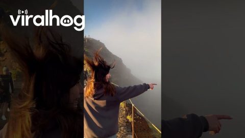 Rare Broken Specter Optical Phenomenon || ViralHog