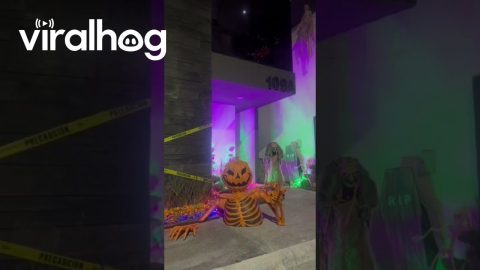 Santiago House Decorated For Halloween || ViralHog