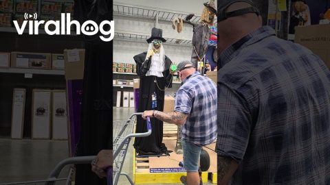 Delayed Display Makes Husband Jump || ViralHog