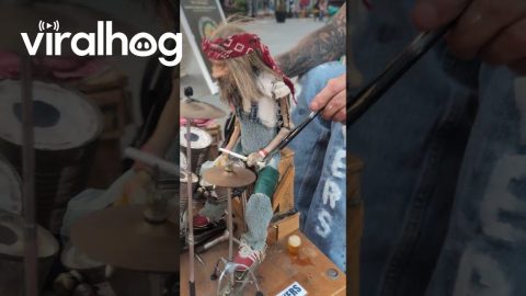 Puppeteer Playing Someone Playing the Drums || ViralHog