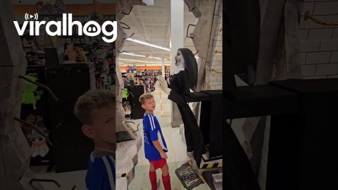 Halloween Decoration Jumps At Son || ViralHog