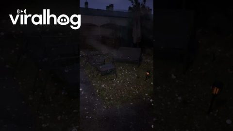 Massive Hailstones Fall in Chateauroux in 2022 Storm || ViralHog