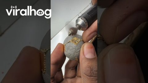 Gold Jewelry Gets Design || ViralHog
