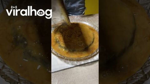 Pudding Cake Fail || ViralHog