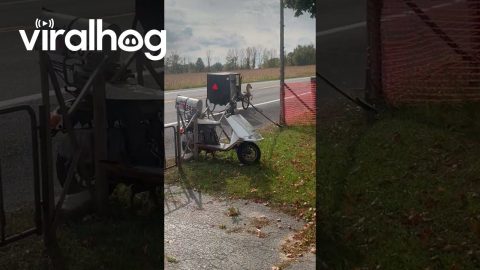 Mini Motorized Buggy || ViralHog