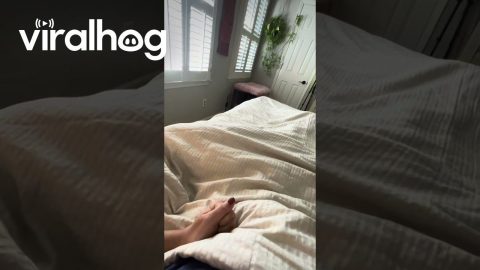 Woman Summons a Sandworm Puppy || ViralHog