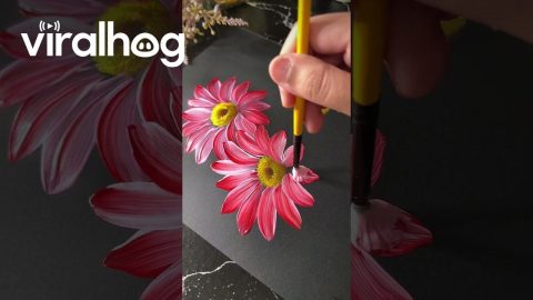 Brush Stroke Flower Painting || ViralHog