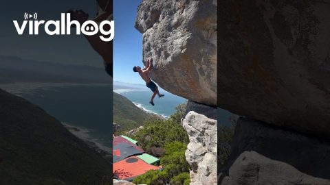 Incredible Climbing Dyno Jump || ViralHog