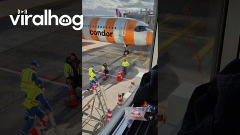 Airport Workers Play With Traffic Cones || ViralHog
