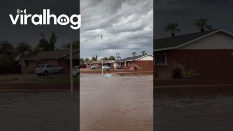 Tubing in a Flood || ViralHog