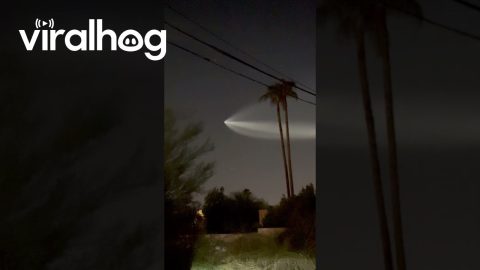 SpaceX Rocket Soars Across Phoenix Sky || ViralHog