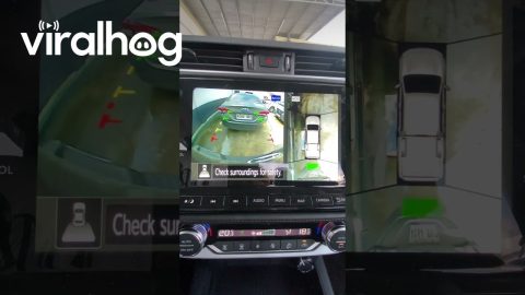 Defective Rear Camera || ViralHog