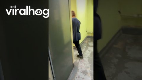 Scaring My Workmate Everyday || ViralHog