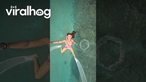 Woman Blows Underwater Bubble Ring || ViralHog