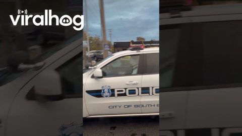 Officer Art Reporting for Duty! || ViralHog