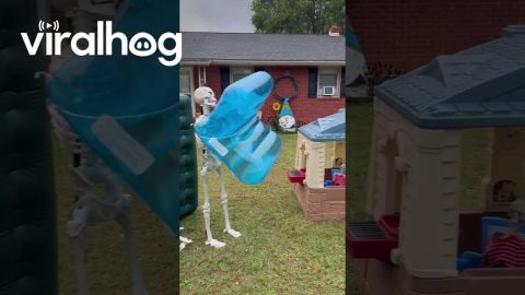 Moving in! PIVOT! || ViralHog