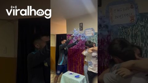 Struggling To Pop The Gender Reveal Balloon || ViralHog