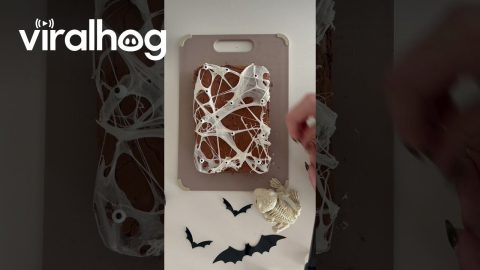 Spiderweb Brownies || ViralHog