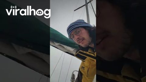When You're Trying to Bust It Down but See Something in the Water || ViralHog
