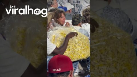 Bills Fan Munches On Massive Popcorn Bag || ViralHog