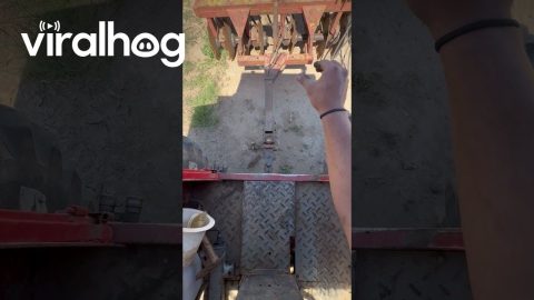 I'm Not Going Down There to Hook Up || ViralHog