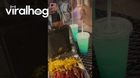 Friends Spill Drink While Trying to Create Content || ViralHog