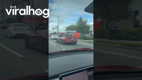 Open Convertible Moves Mattress || ViralHog