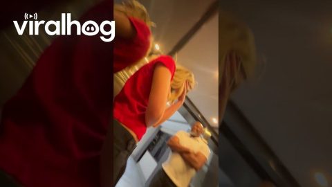 Stuck In Elevator Splits As Door Opens || ViralHog