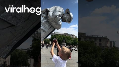 Child Offers Juice to Silverman Statue || ViralHog