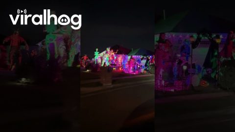 Extravagant Halloween Yard Display || ViralHog