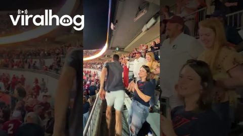 Students Rush the Field on a Double-Overtime Win Over Florida State || ViralHog