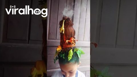 Dinosaur Volcano For Crazy Hair Day || ViralHog
