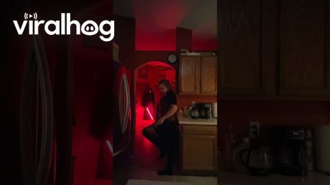 Halloween Costume Show Off Interrupted by Cool Brother || ViralHog