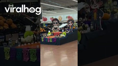 Walmart Celebrating the Three Best Holidays || ViralHog