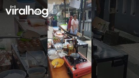 Technology Tosses Fried Rice || ViralHog