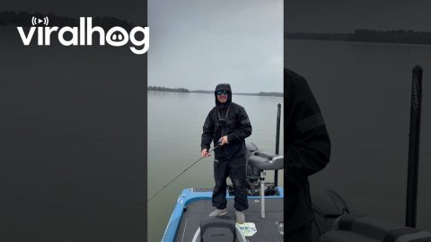 Buddy's Big Catch Turns Out to Be a Rock || ViralHog