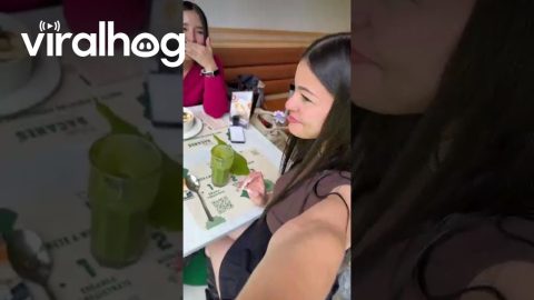 Clumsy Friend Spills Juice During Filming || ViralHog