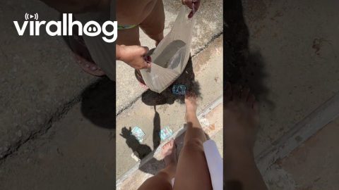 Life Hack for Washing Your Feet at the Beach || ViralHog