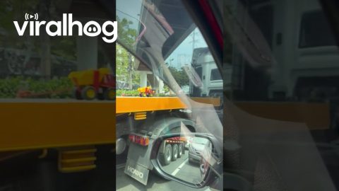 Oversized Cargo || ViralHog