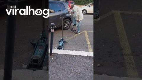 When the Customer Wants to Do Things His Own Way || ViralHog