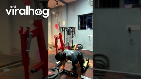 Man Goes To Squat, Gets Squatted By Machine || ViralHog